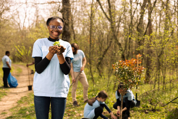 tree2 Young teenager activist planting small green seedlings in the woods, restoring natural habitat and protecting the environment. Proud african american girl doing voluntary work to save the planet.