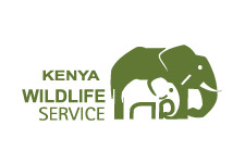 kenya wildlife